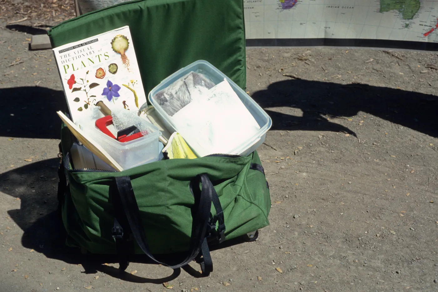 Nature Kits and Displays