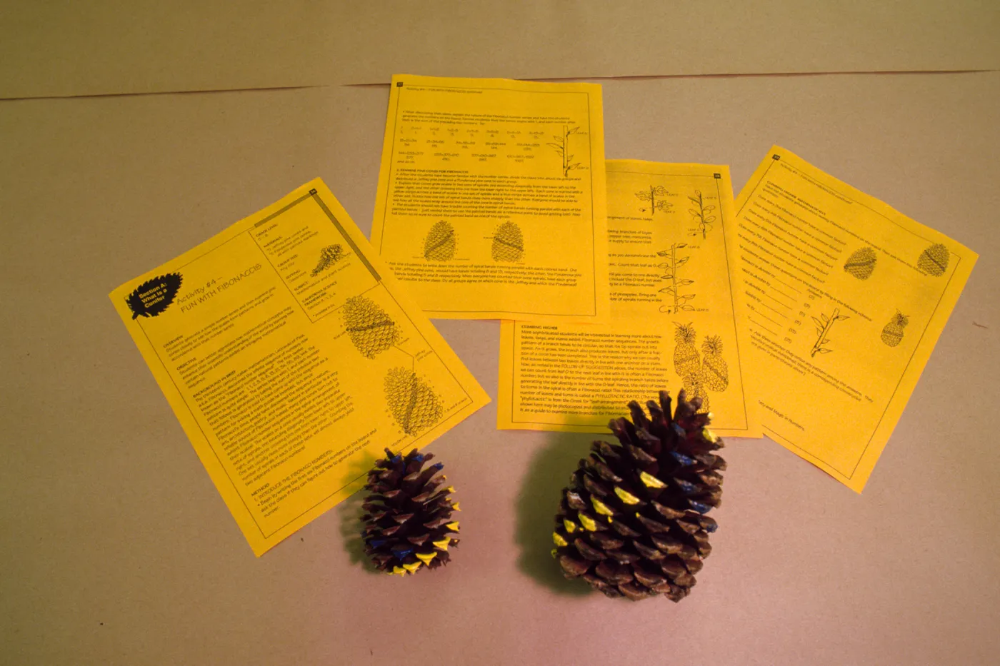 Nature Kits and Displays