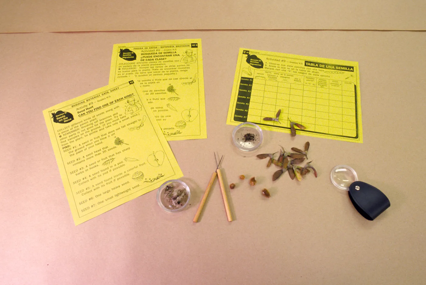 Nature Kits and Displays