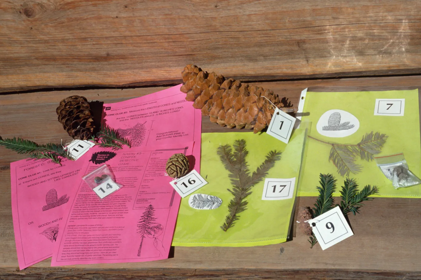 Nature Kits and Displays