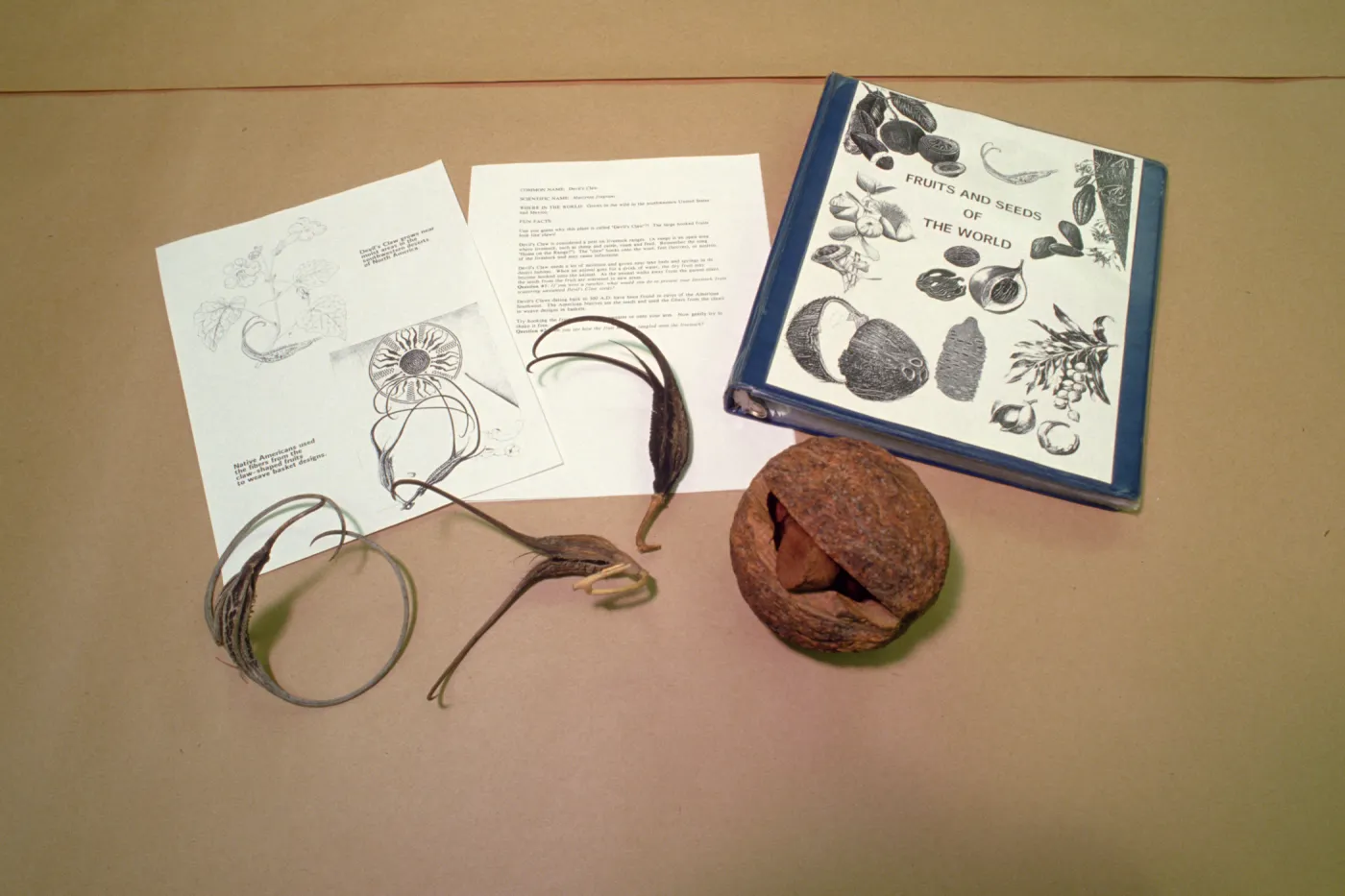 Nature Kits and Displays