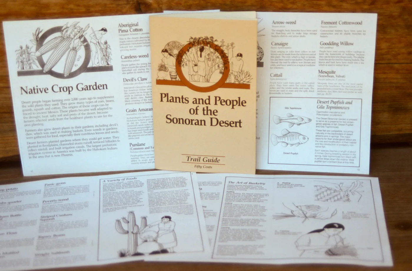 Plants and People of the Sonoran Desert publication