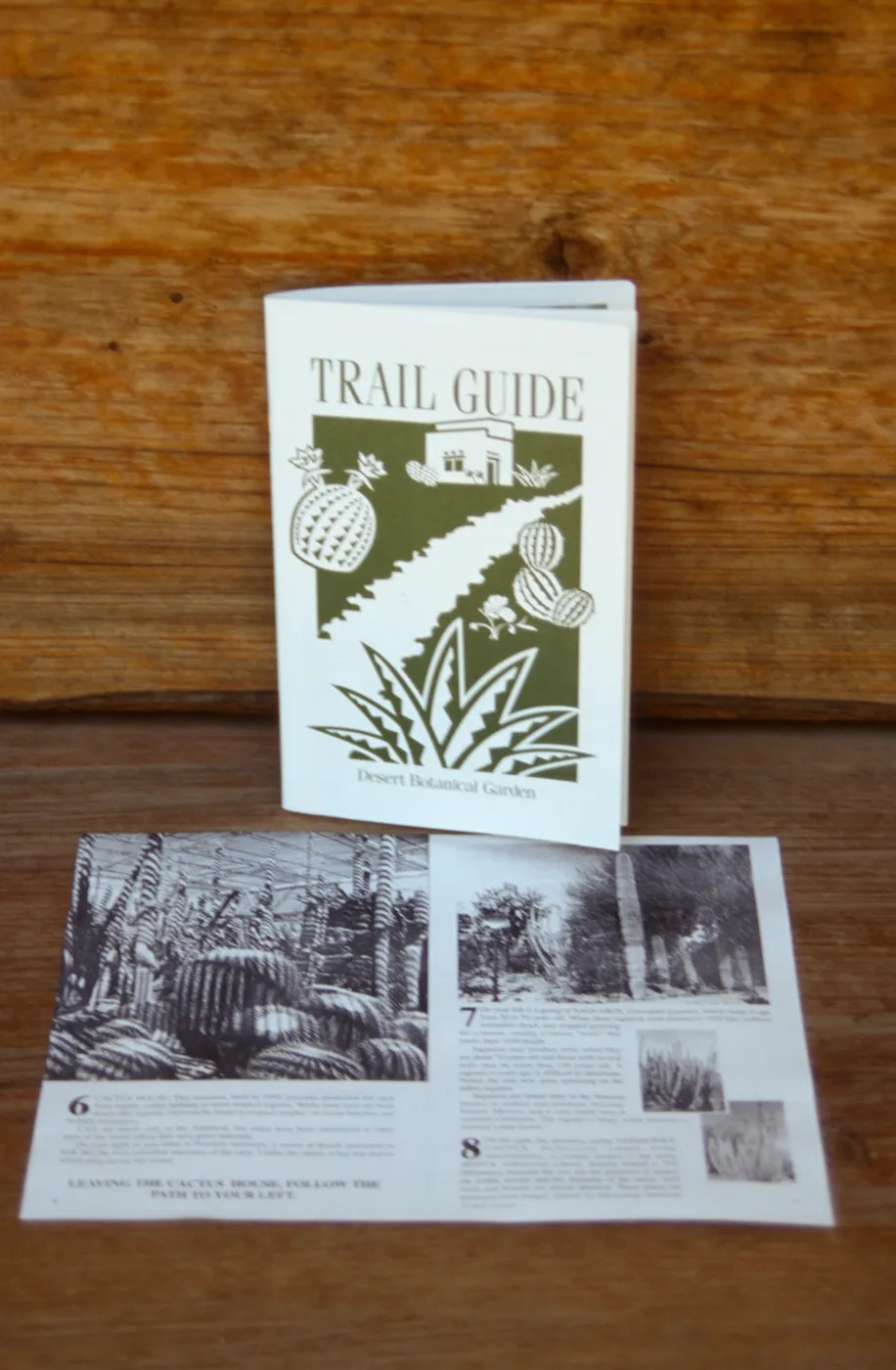 Desert Botanical Garden Trail Guide