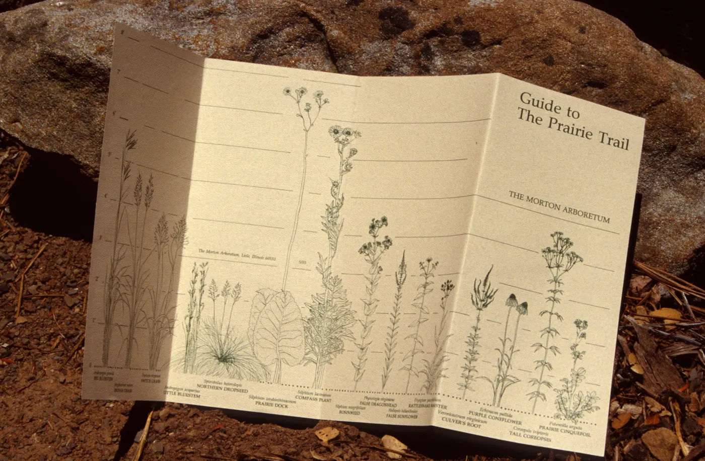 Morton Arboretum Guide to the Prarie Trail