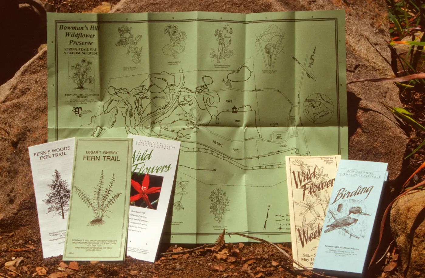Bowman's Hill Wildflower Preserve Publications