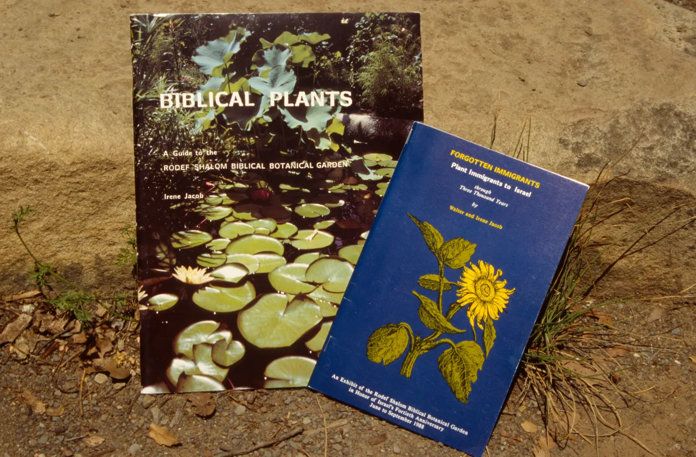 Rodef Shalom Biblical Botanical Garden publications