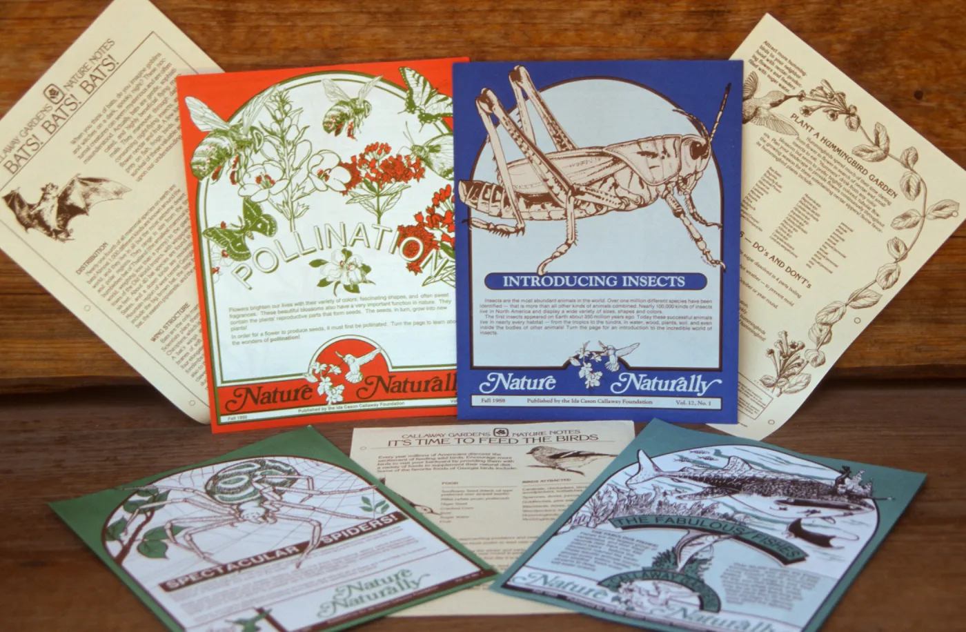 Ida Cason Callaway Foundation publications