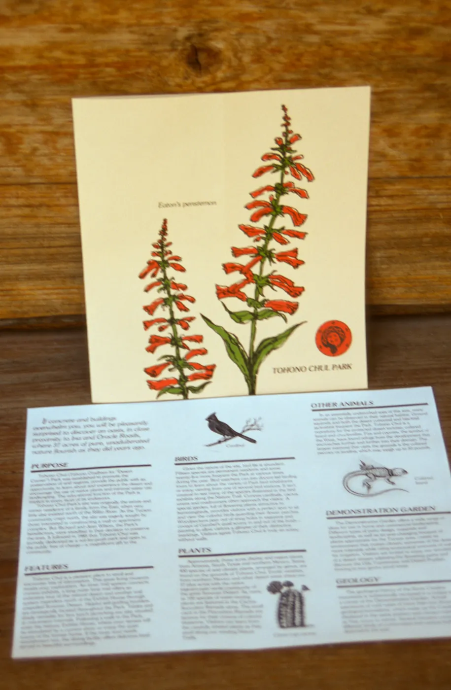 Tohono Chul Park publications