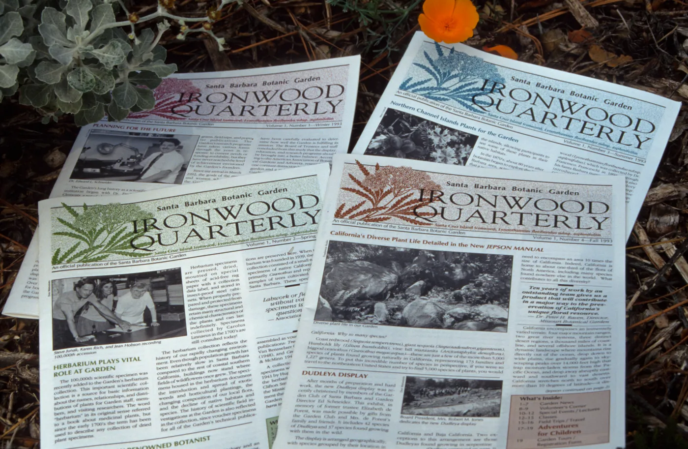 SBBG Ironwood Quarterly Newsletters