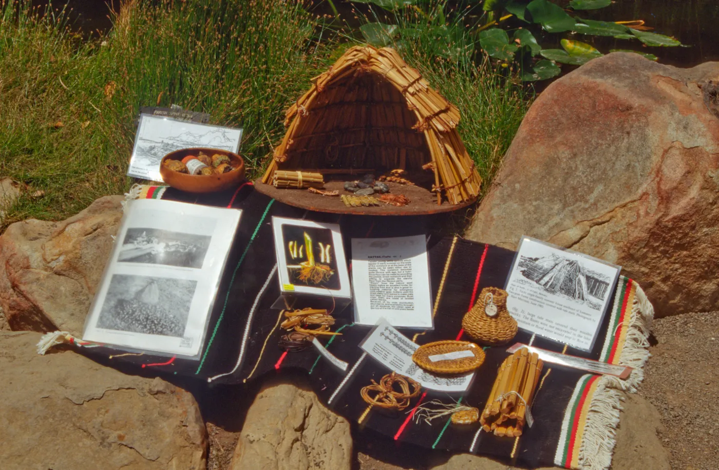 Docents' Basketry Display, Fiber Arts Exhibit