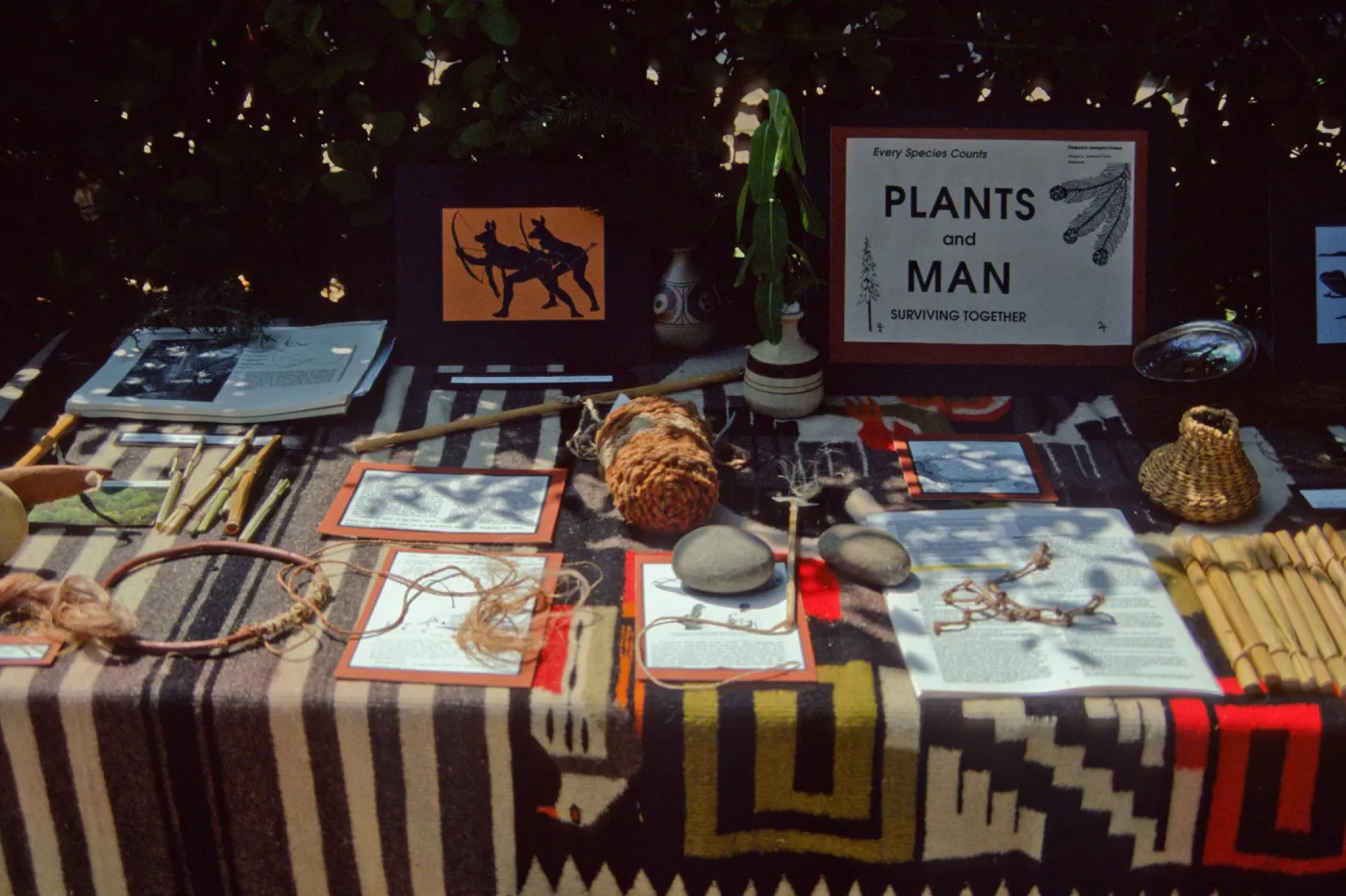 Basketry Display table, Fiber Arts Exhibit