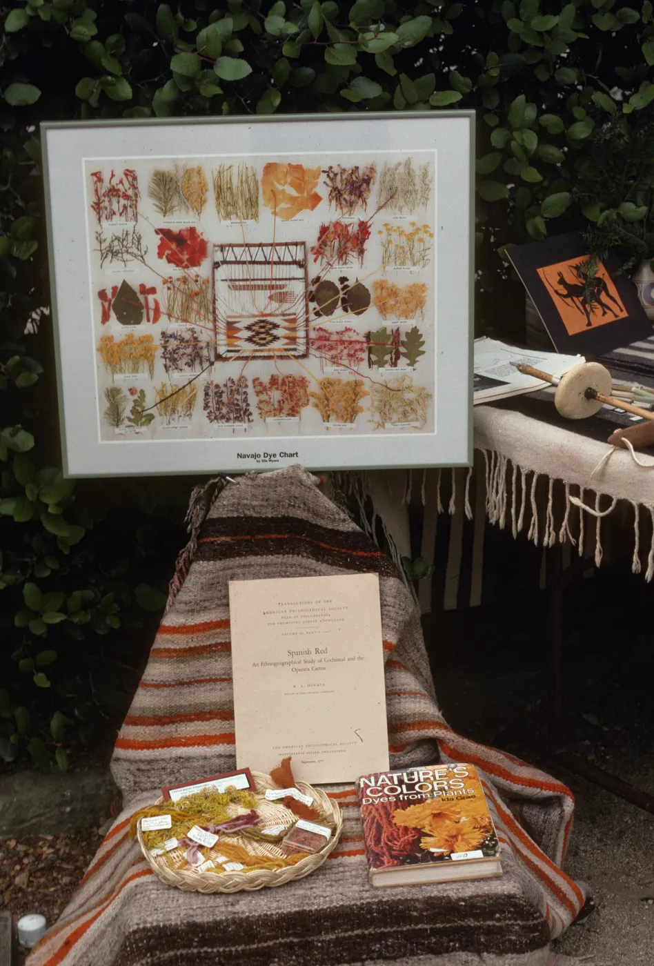 Natural Dyes Display, Fiber Arts Exhibit