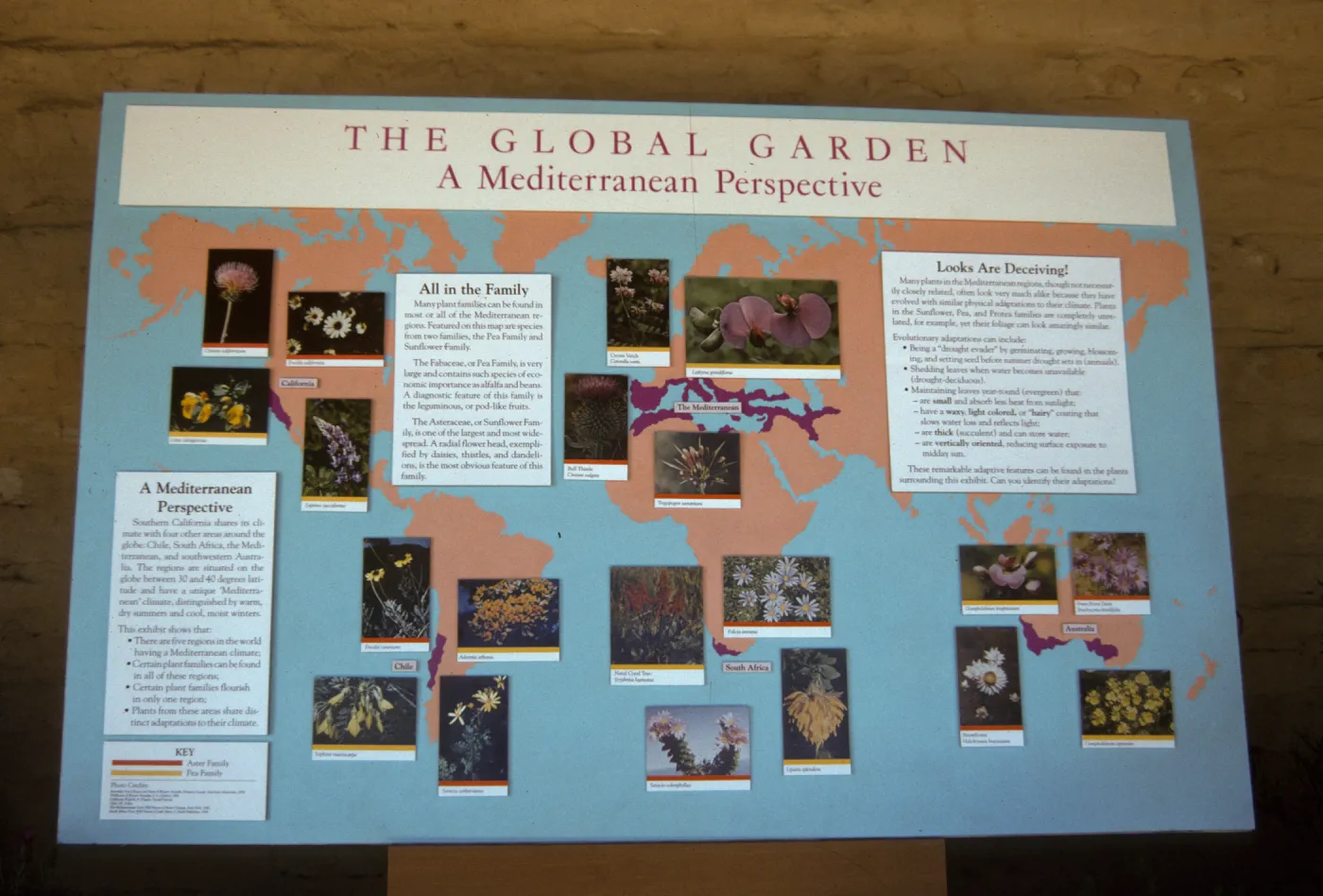 SBBG Symposium
