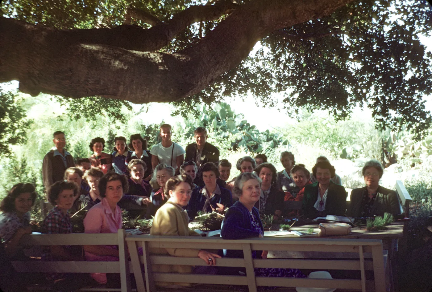 School of Natural Sciences Tree Course