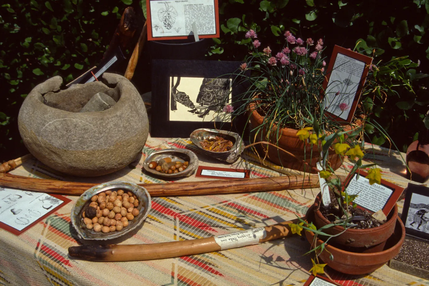 Golden Harvest Tour