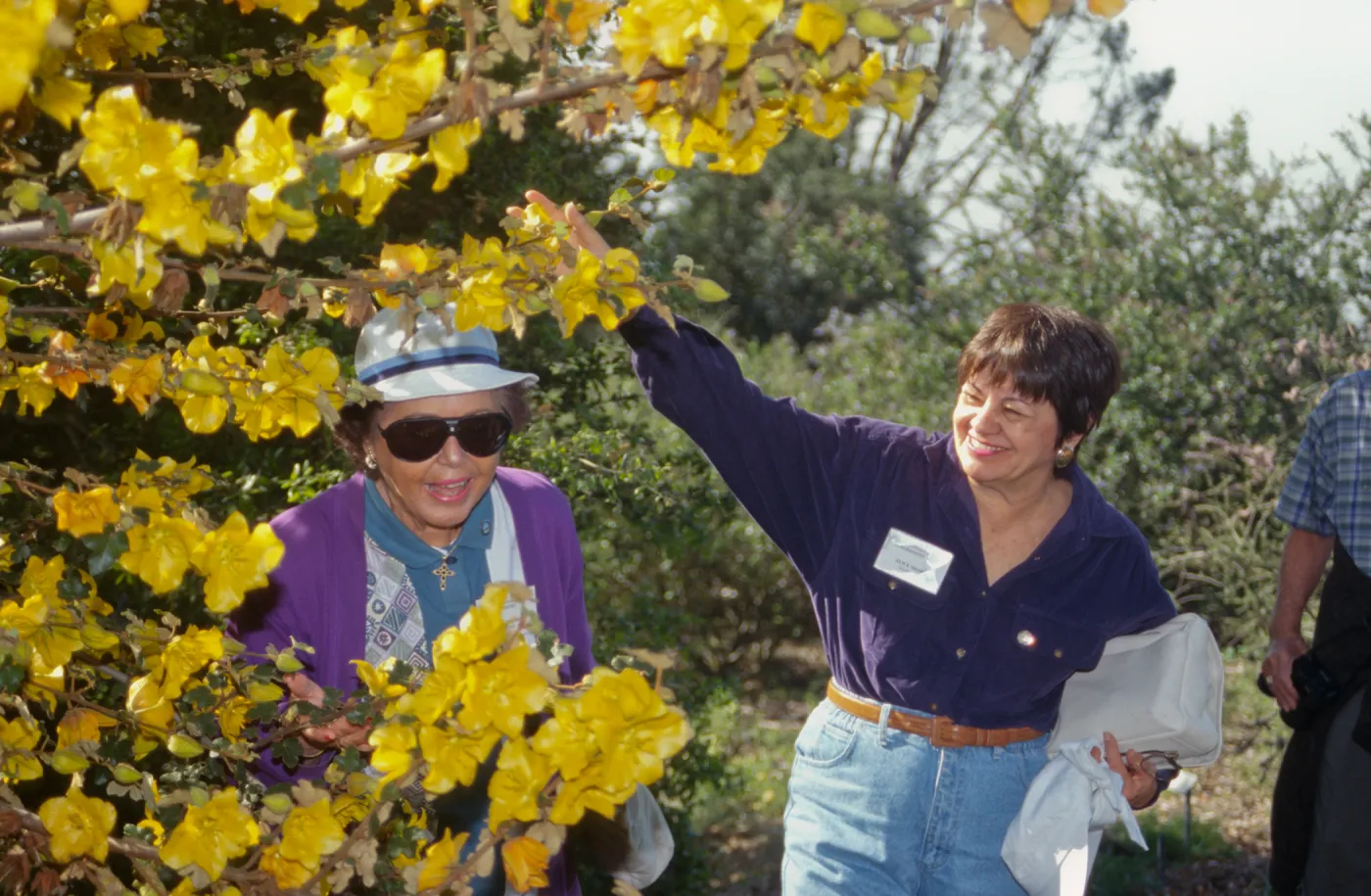 Elder Hostel Tour