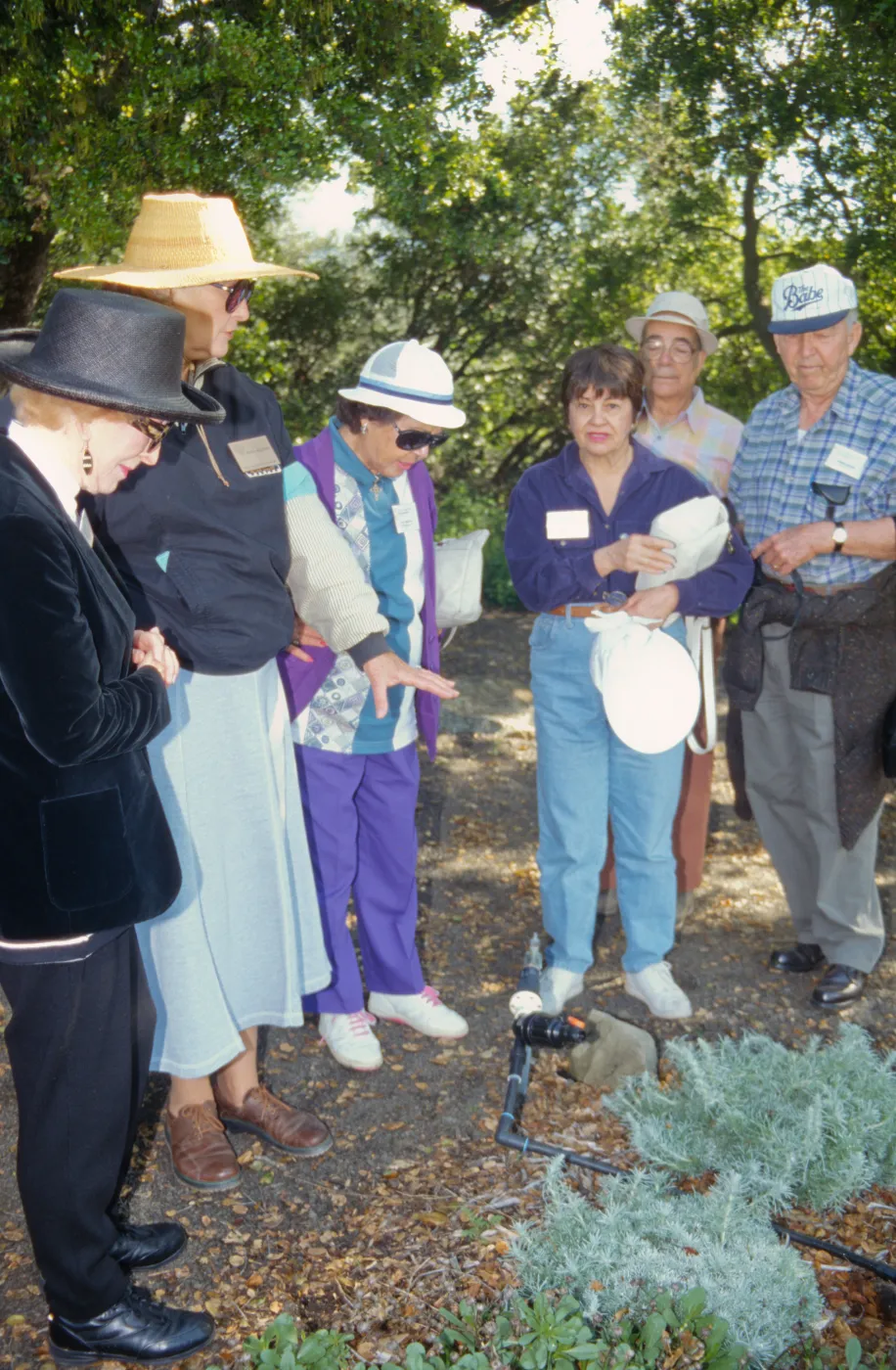 Elder Hostel Tour