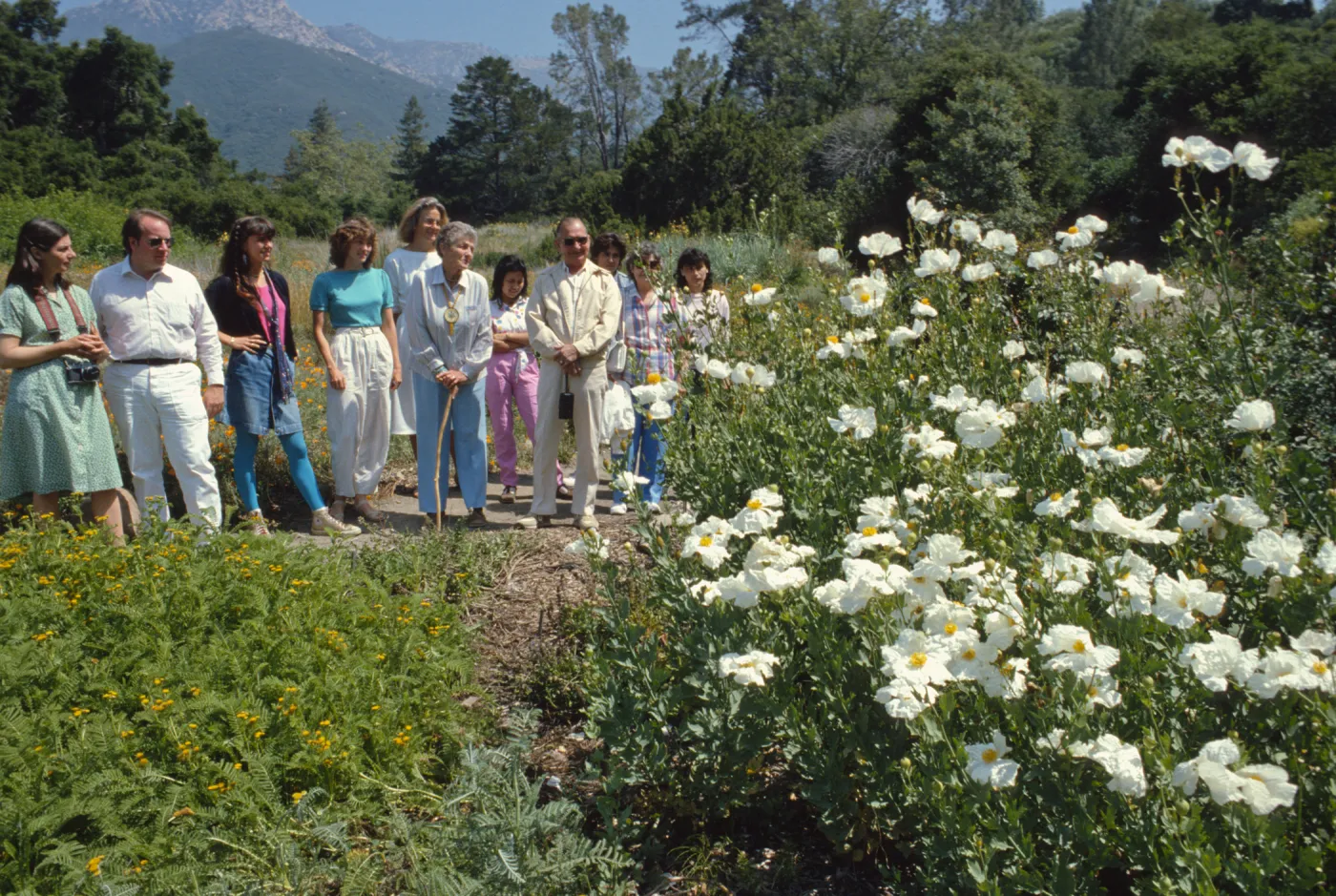 Tour, Meadow