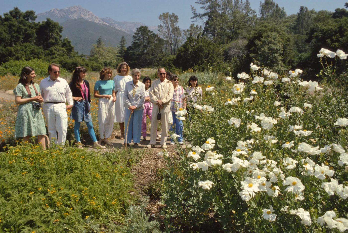 Docent Tour