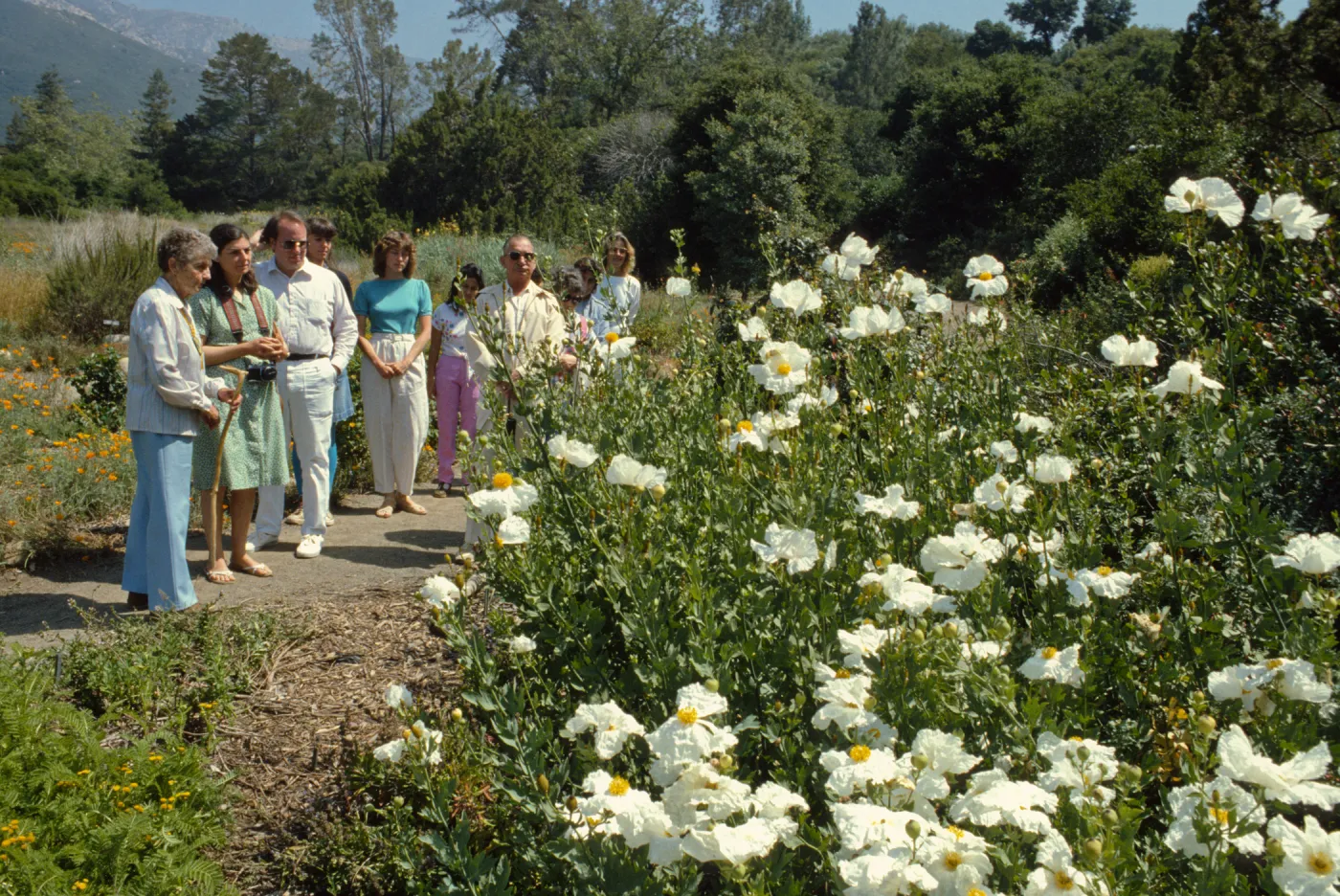 Docent Tour