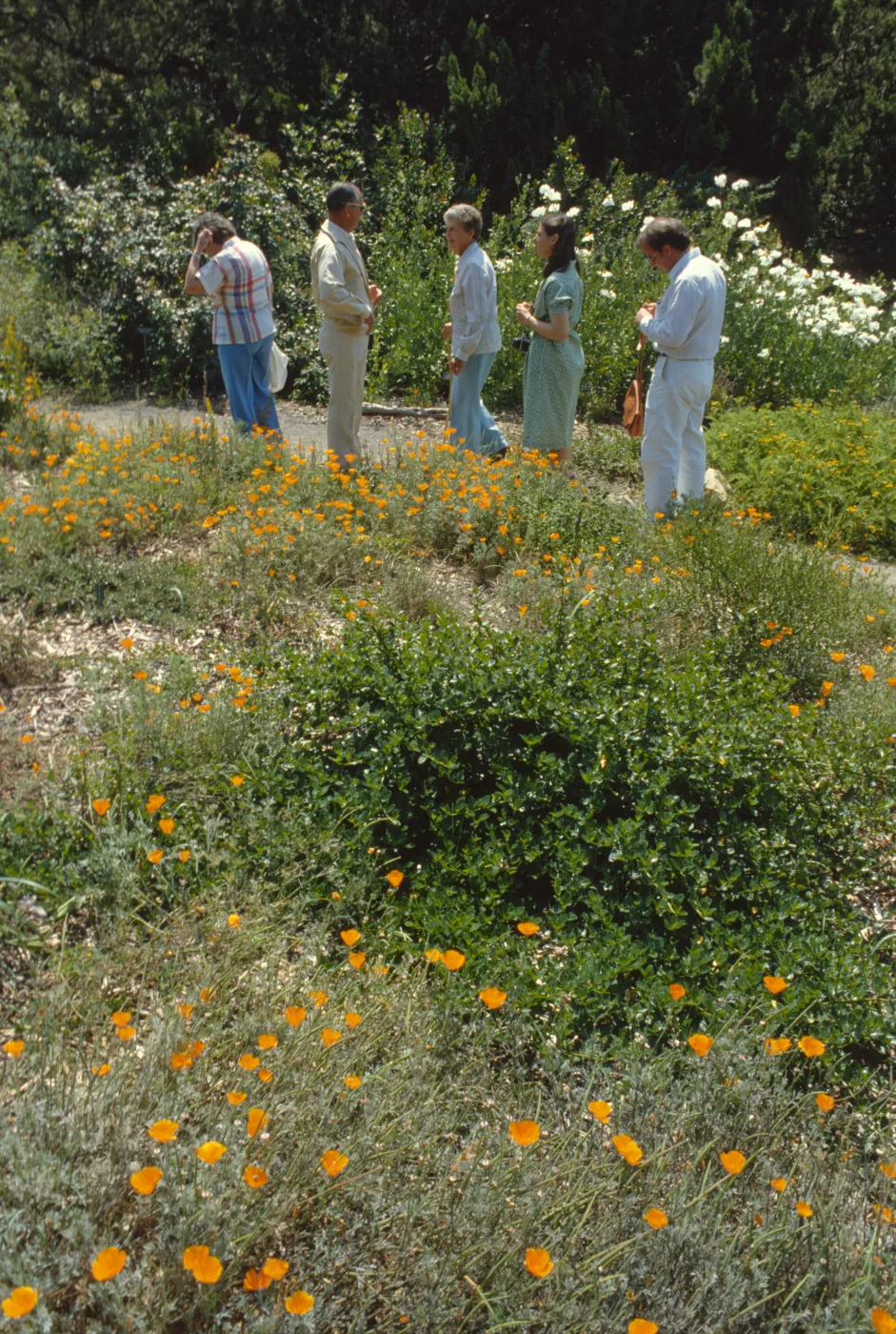 Docent Tour