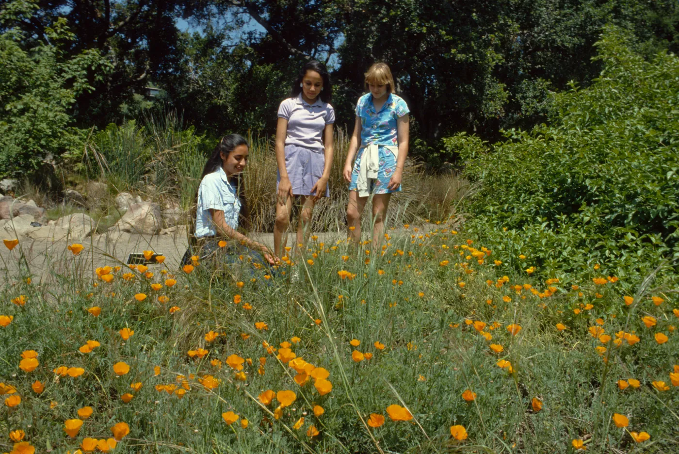 Garden Tour
