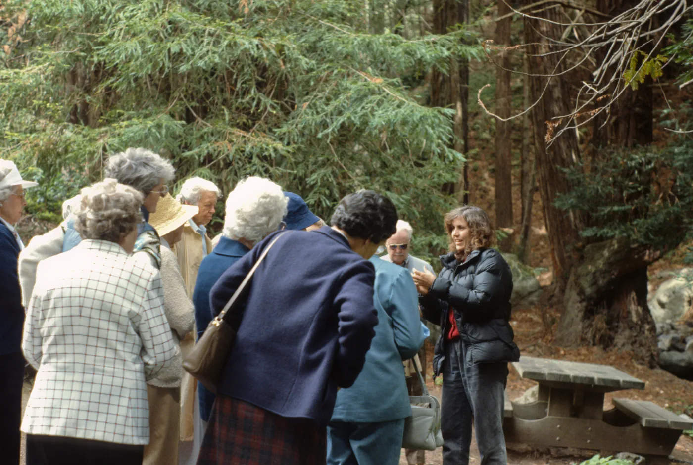 Garden Tour, Mary Carroll