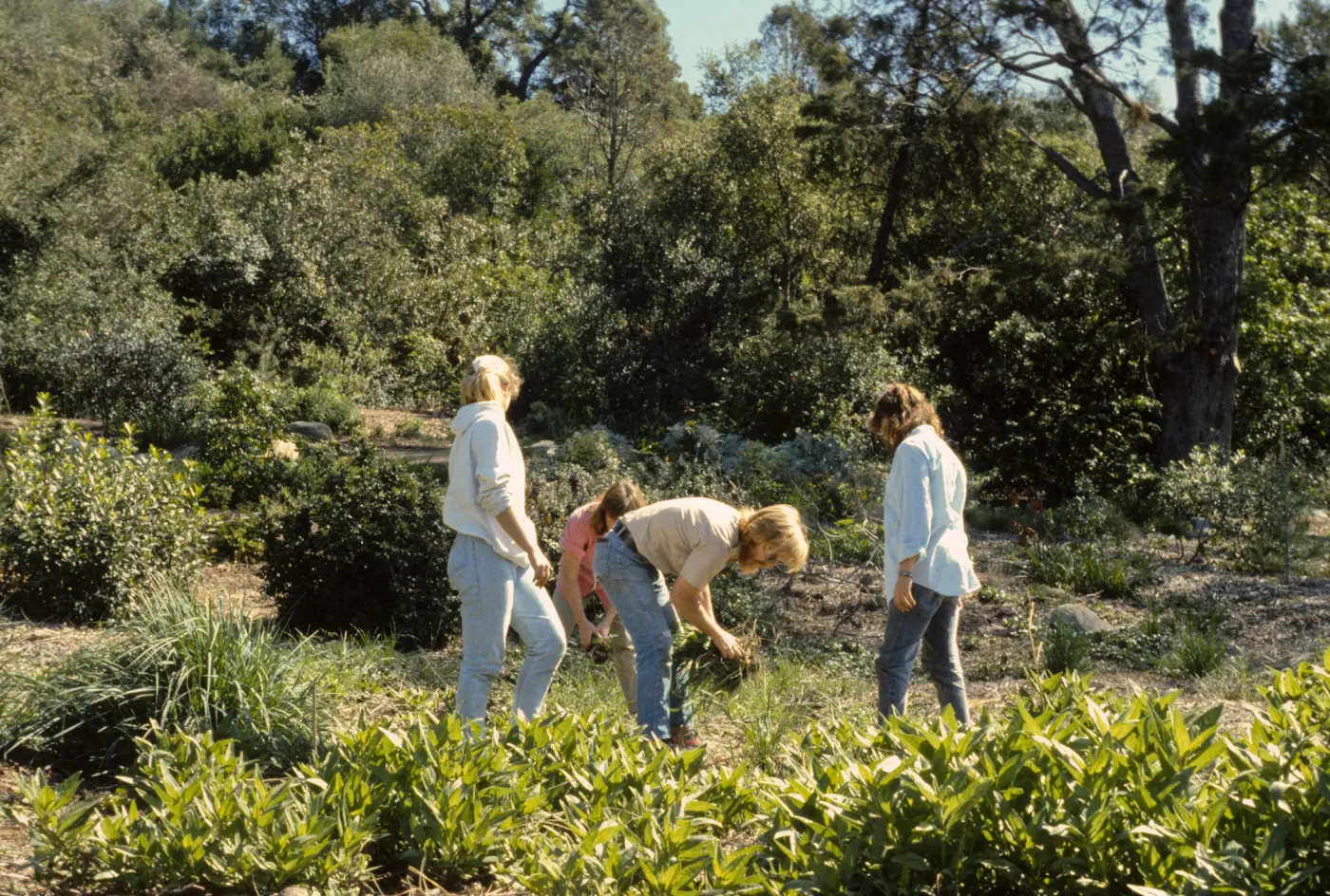 Garden Tour