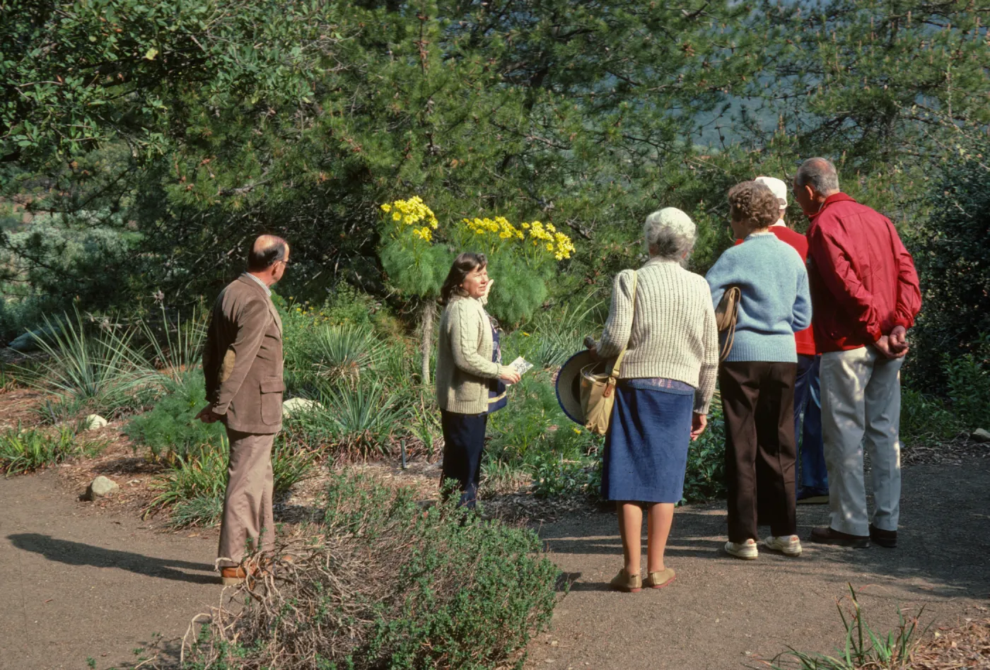 Garden Tour, Ruth Meadows