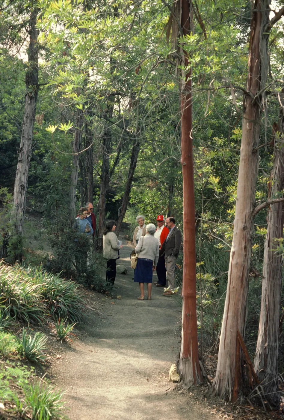 Garden Tour, Ruth Meadows