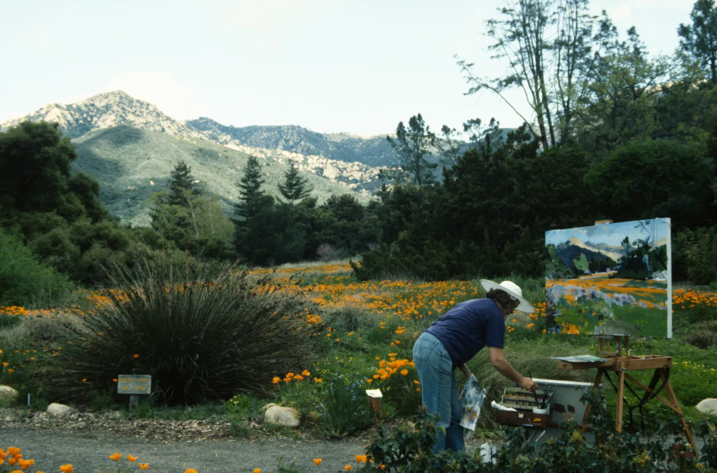 Artist in Garden