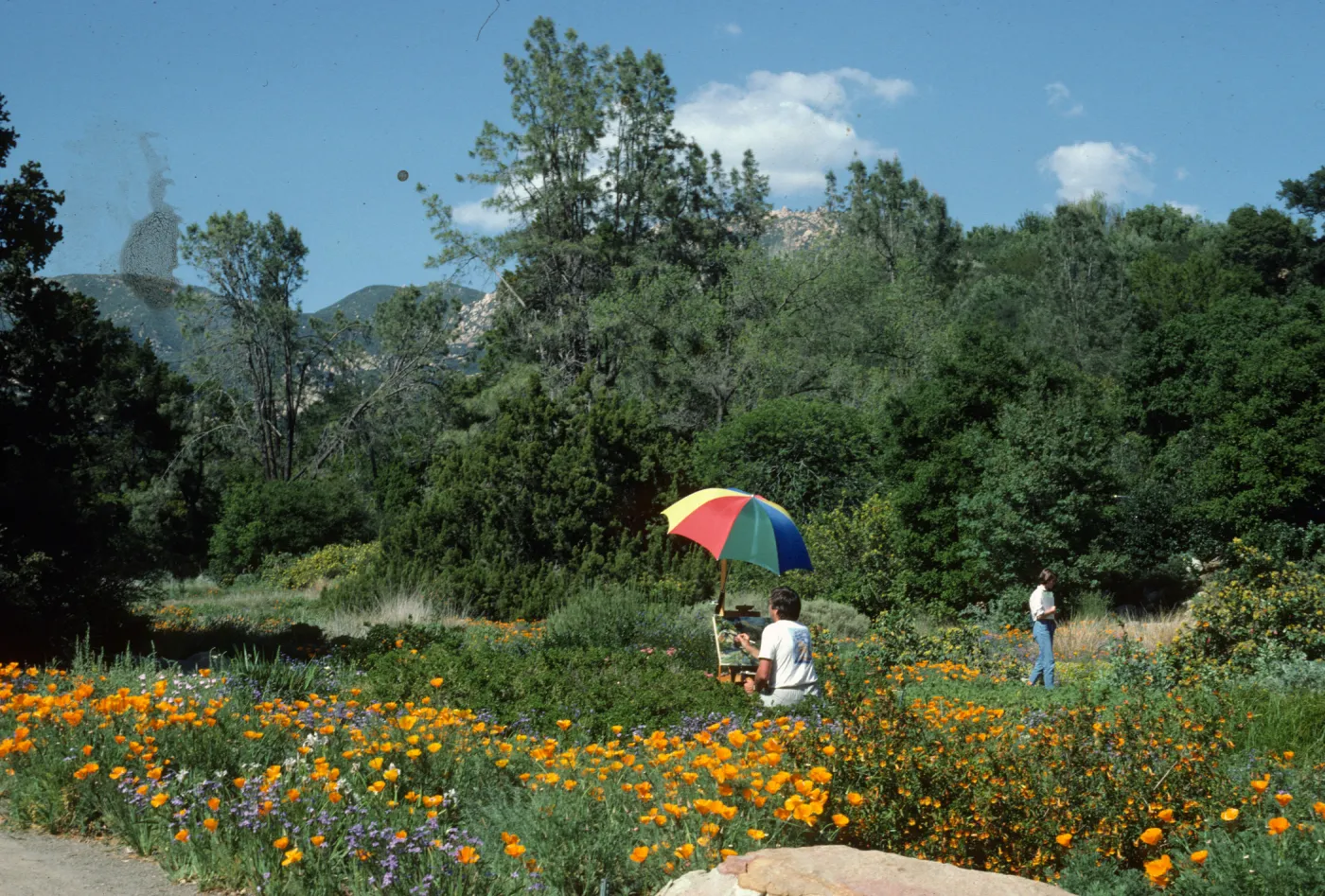 Artist in Garden