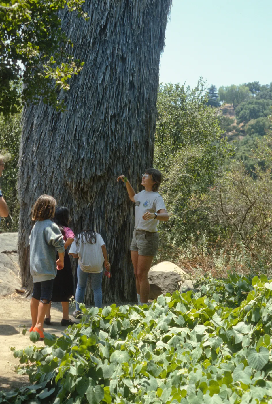 Visitors in the Garden
