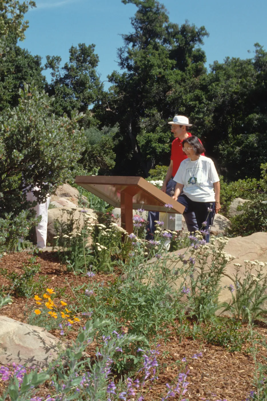 Visitors in the Garden