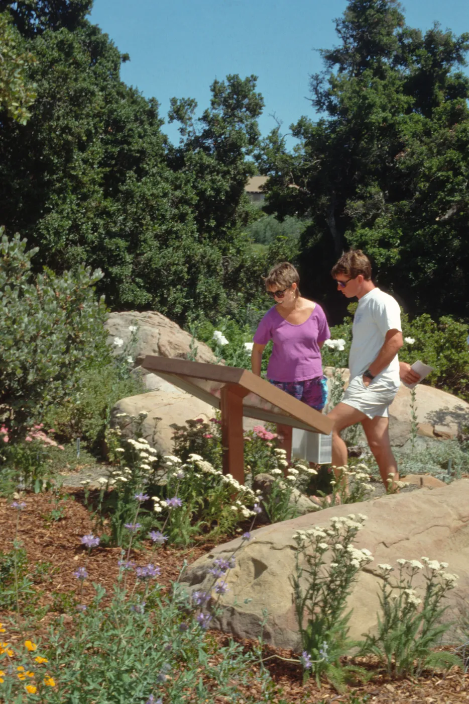Visitors in the Garden