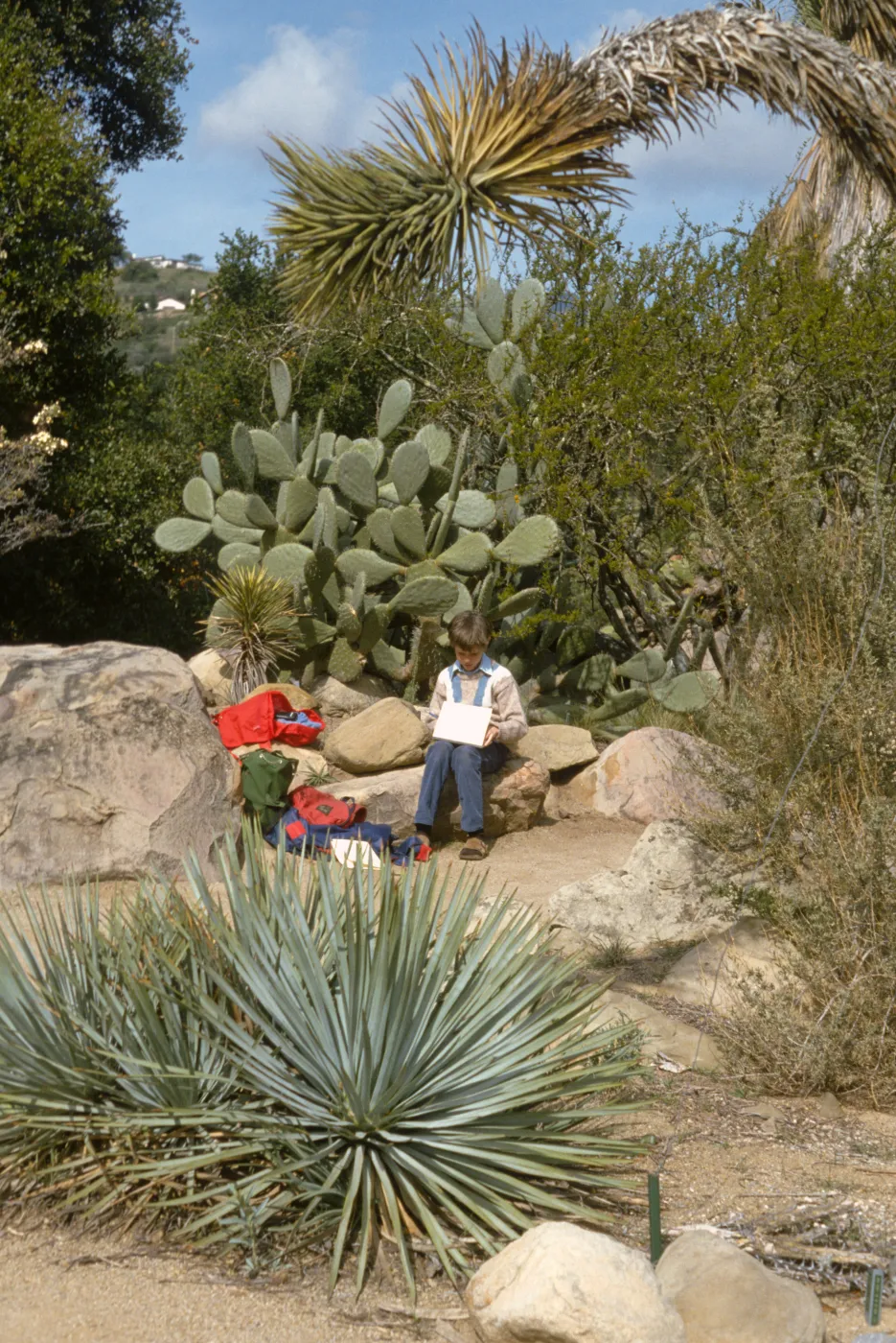Visitors in the Garden