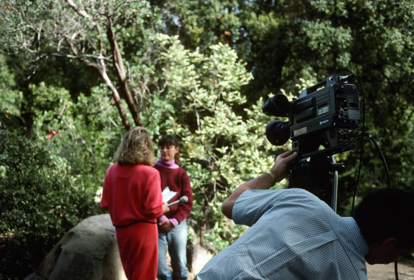 Photographers in the Garden
