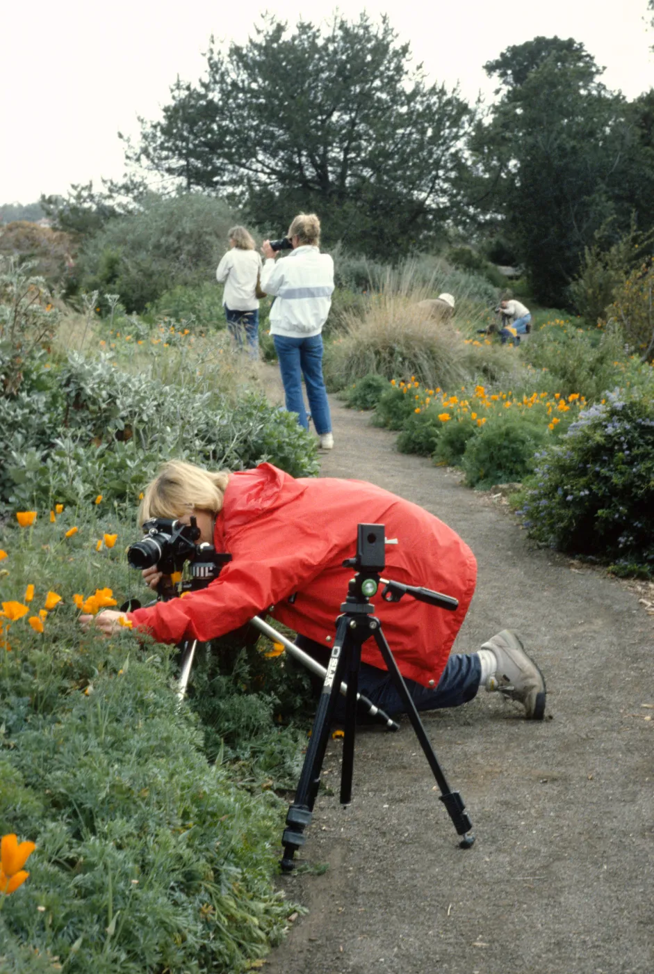 Photographers in the Garden