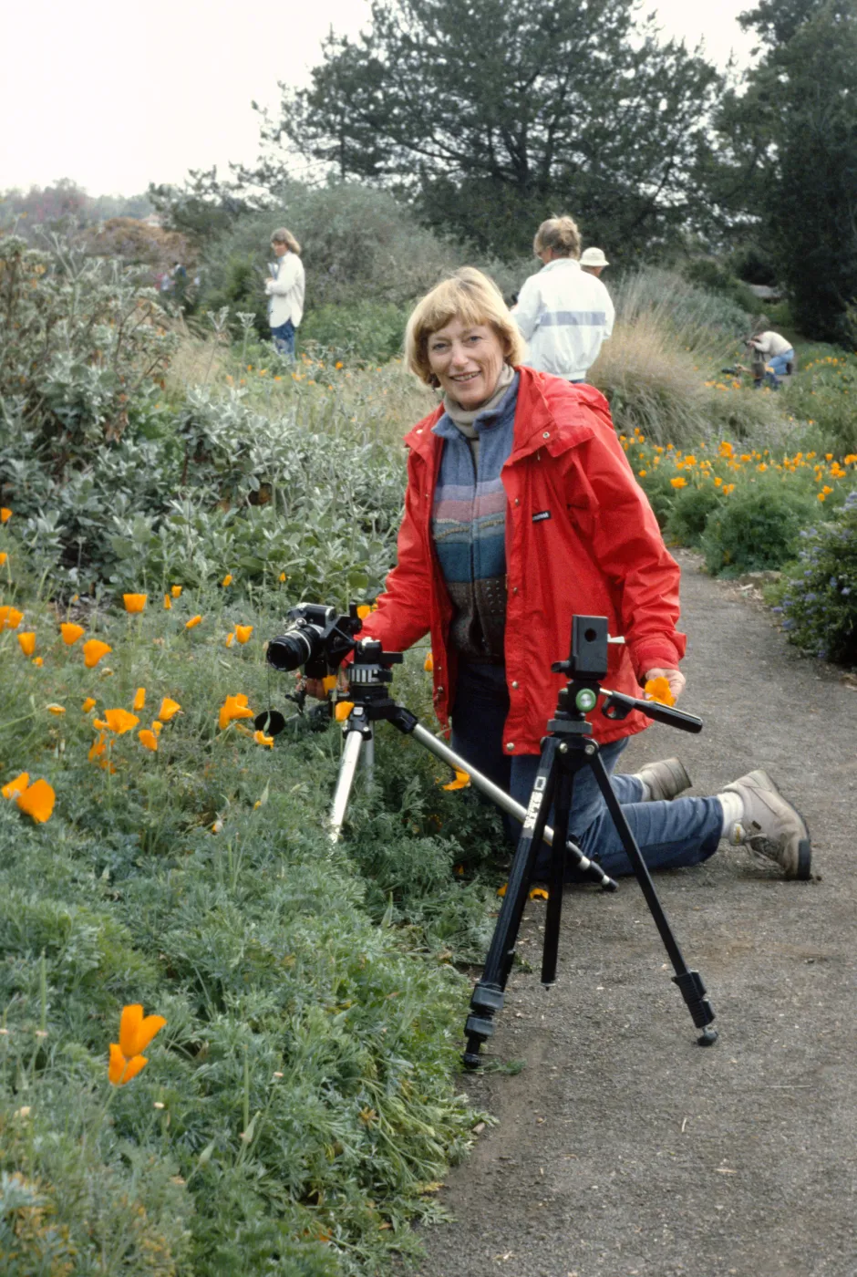 Photographers in the Garden