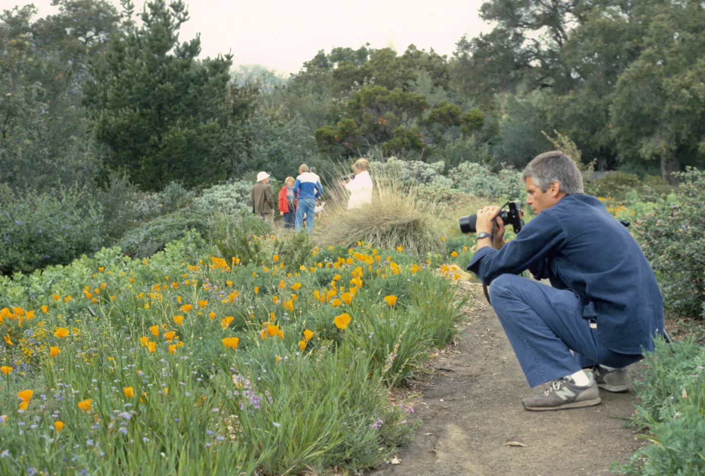 Photographers in the Garden