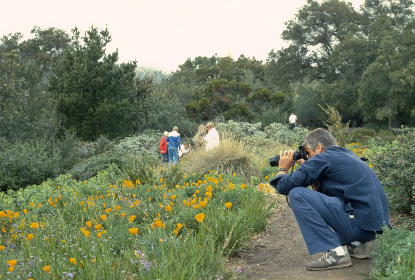 Photographers in the Garden