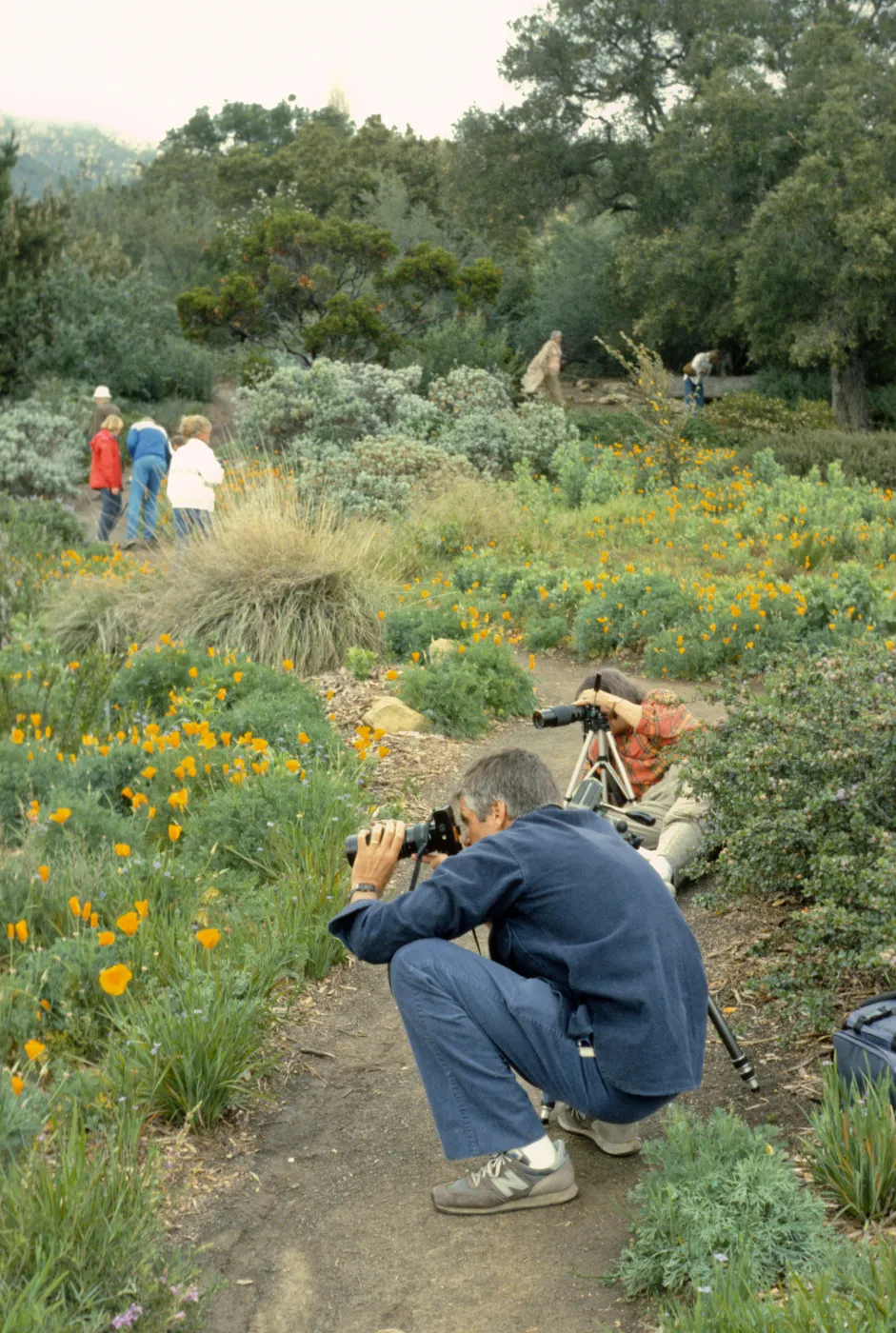 Photographers in the Garden