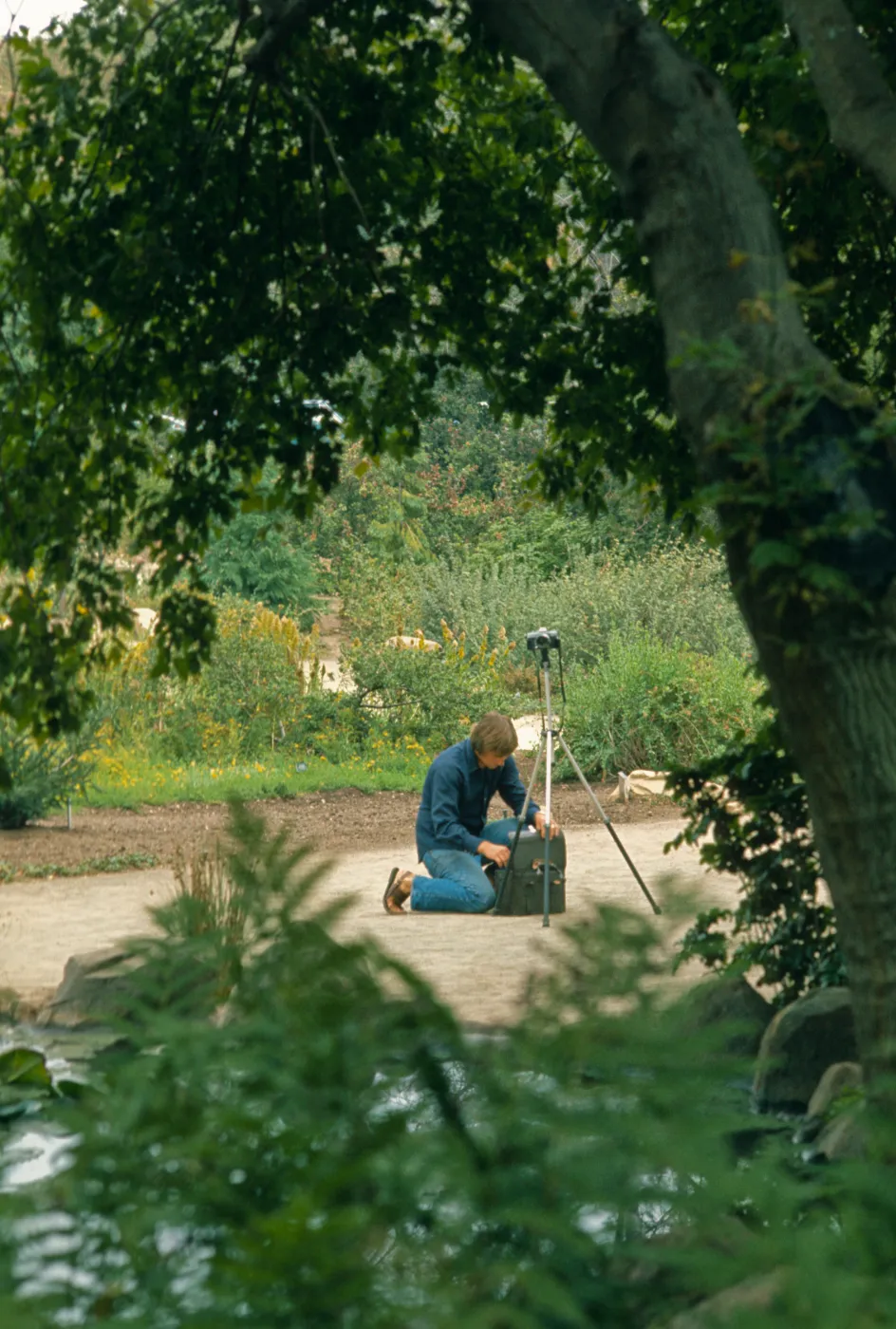 Photographers in the Garden