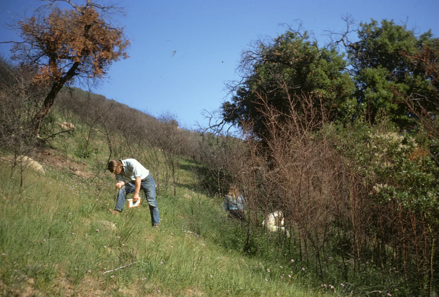 Wildflower Class, Rattlesnake Canyon