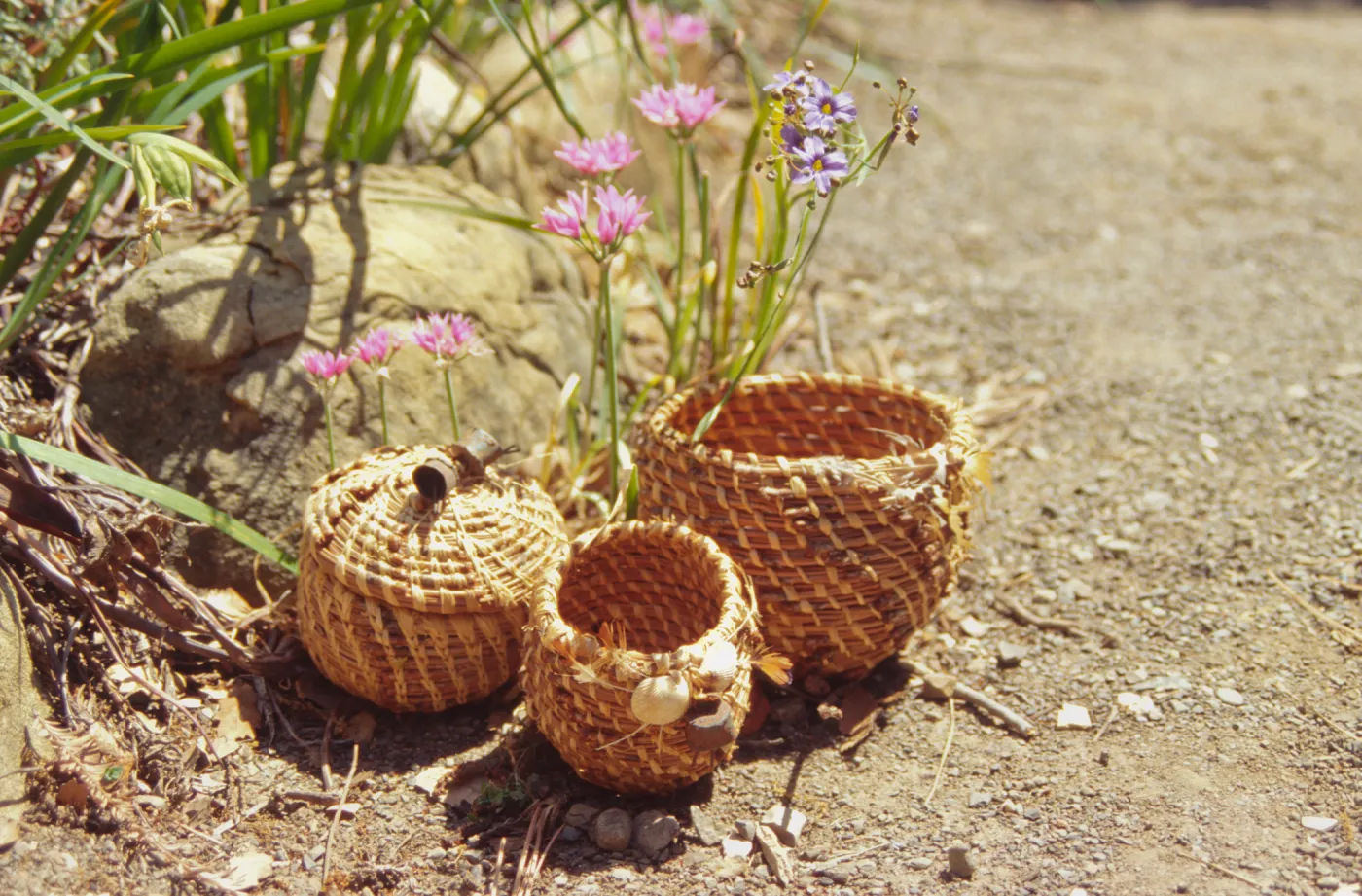 Pine Needle Basket Class