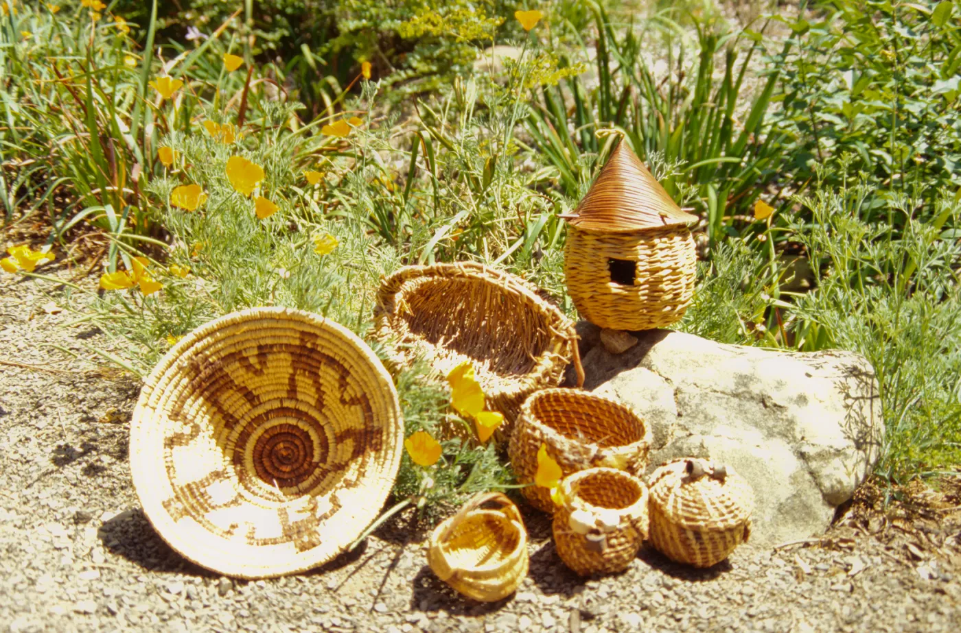 Pine Needle Basket Class