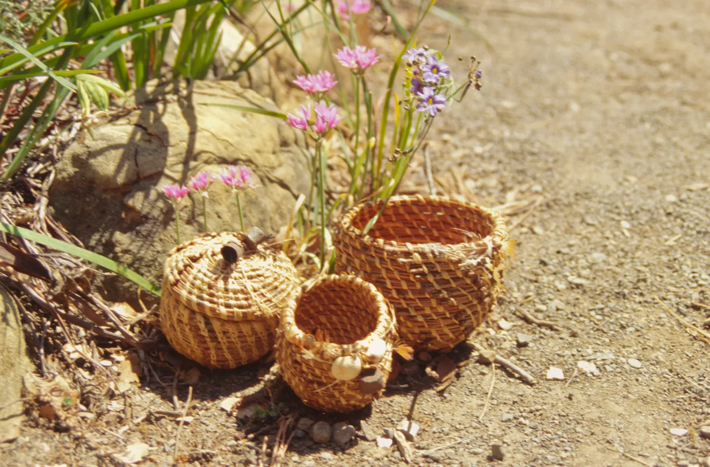 Pine Needle Basket Class