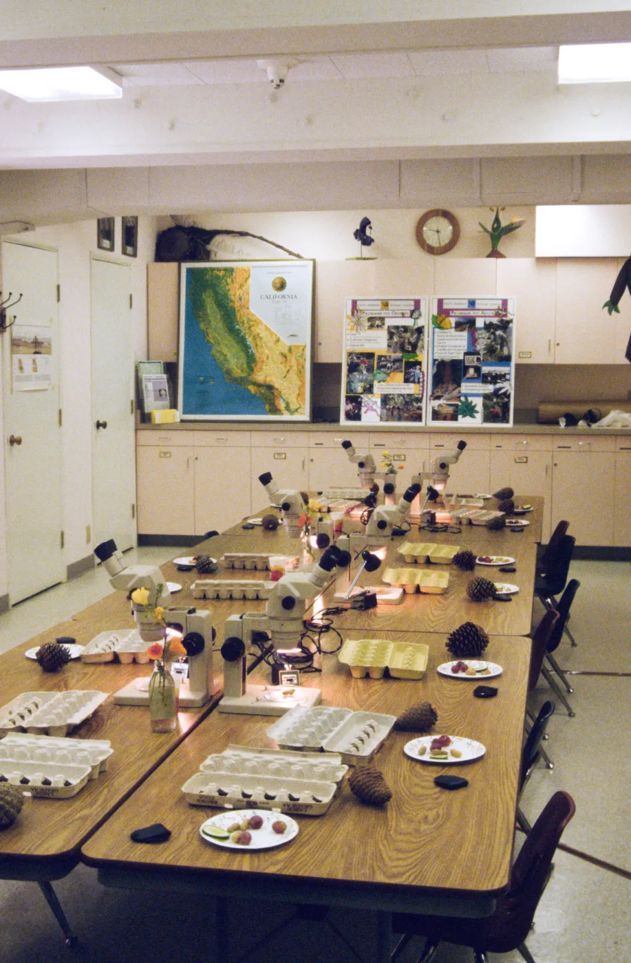 Seed Workshop, Sally Isaacson