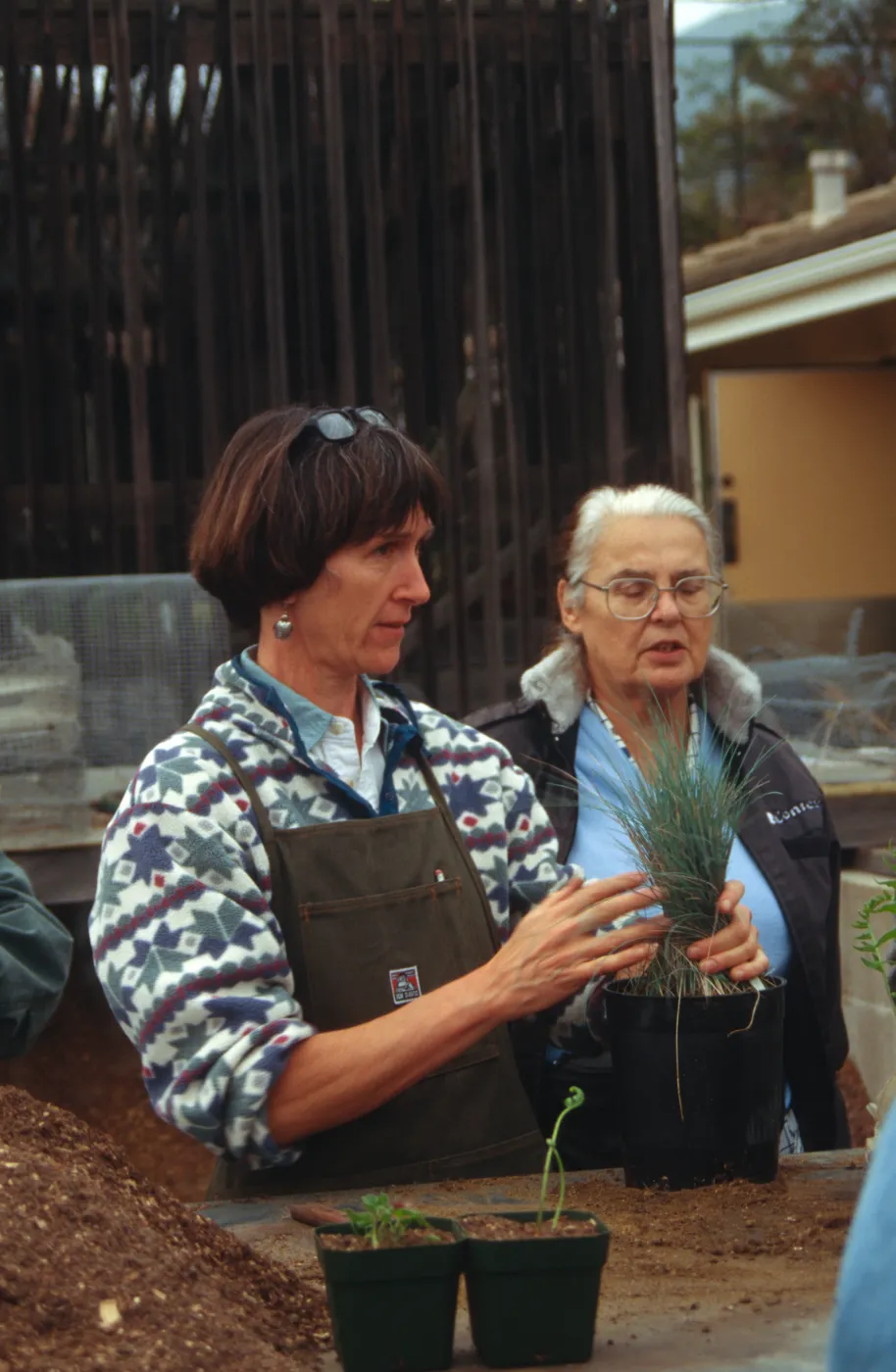 Demonstration at Horticulture Unit, Pace 17