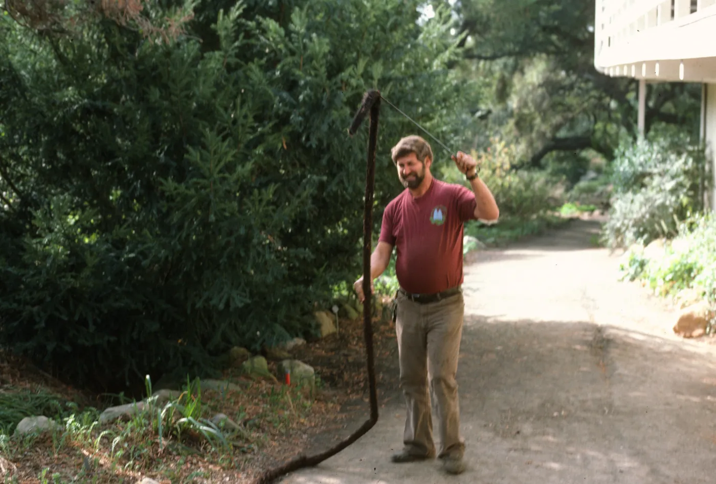 David Leaberry, Arroyo Section, SBBG